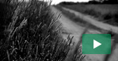 Entreprendre la relve agricole
